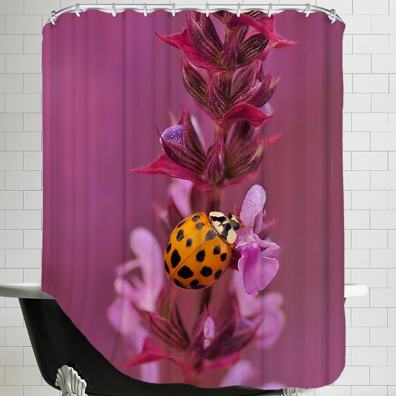 East Urban Home Flower With Ladybug Single Shower Curtain Wayfair