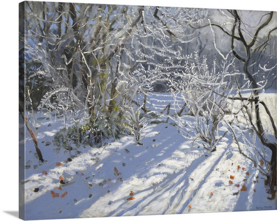 Canvas On Demand Hoar Frost Markeaton Derby Uk By Andrew