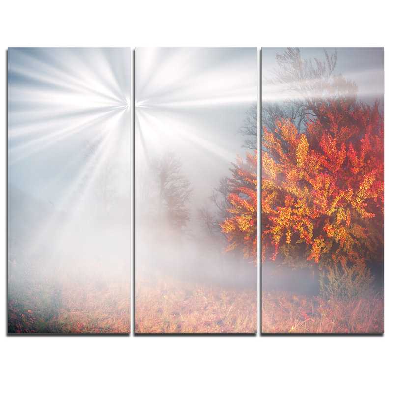 Designart Misty Sun In Red Autumn Forest 3 Piece Graphic Art On Wrapped Canvas Set Wayfair