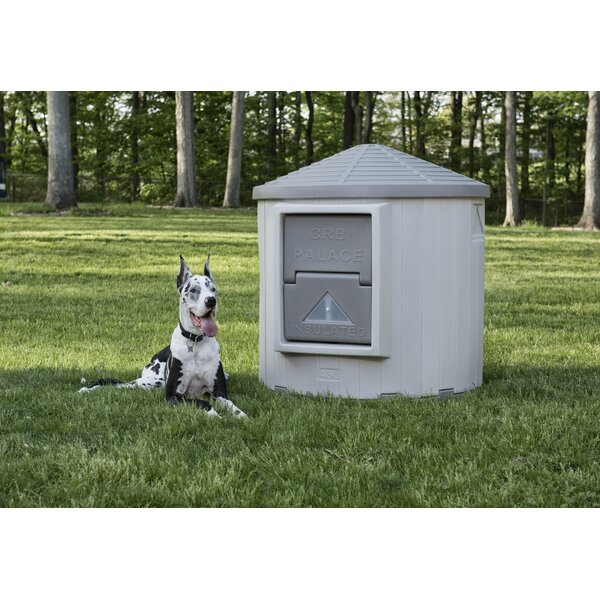 Dog Palace CRB Palace™ Premium Insulated Dog House & Reviews | Wayfair