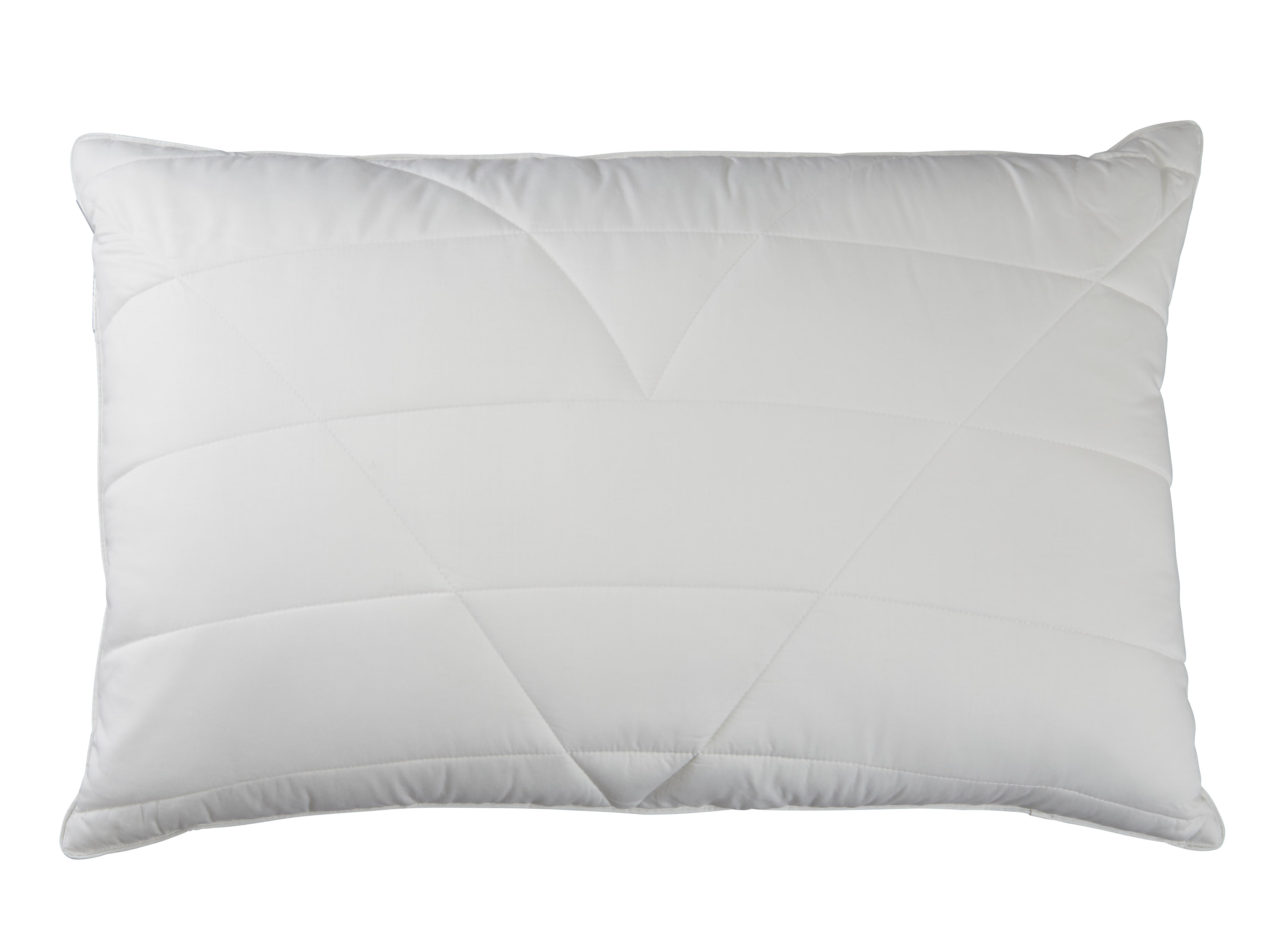 Symple Stuff Hollander L75 X W50cm Pillow Wayfair Co Uk