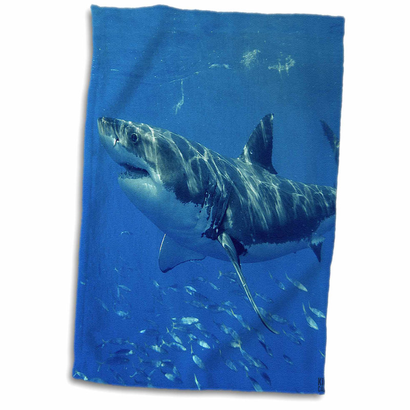 towel shark