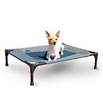 raised up dog bed