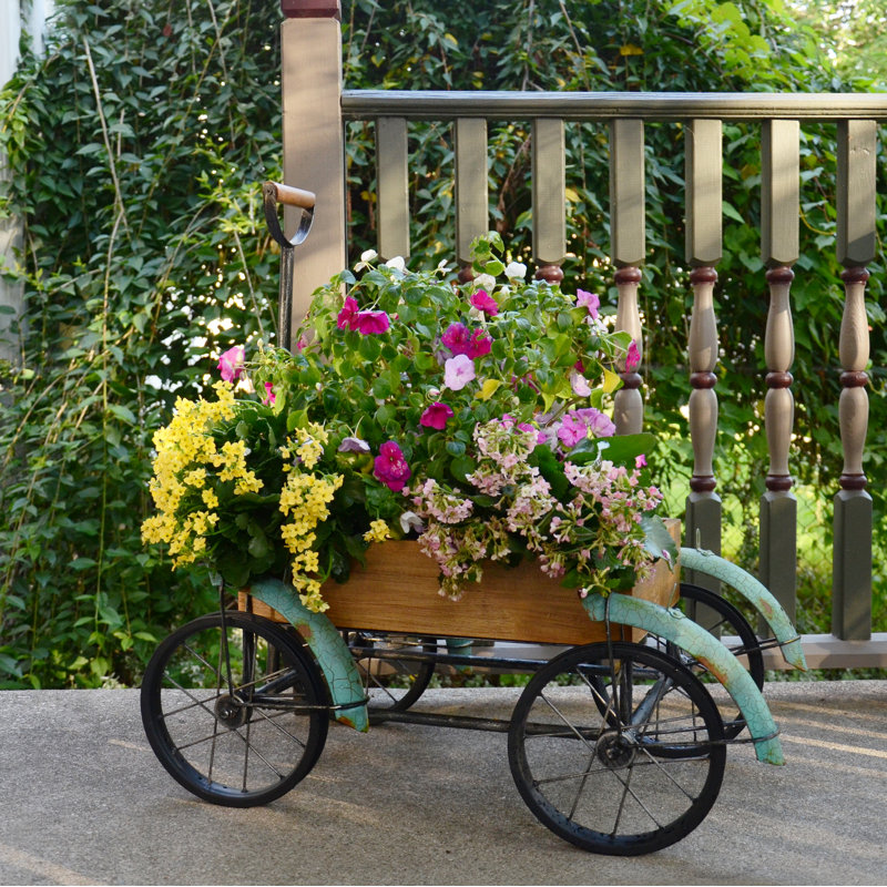 RCS Gifts Wagon Metal Wheelbarrow Planter &amp; Reviews Wayfair