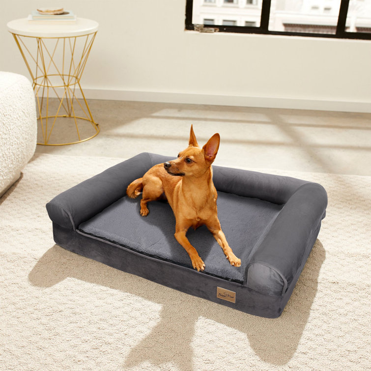 big dog beds
