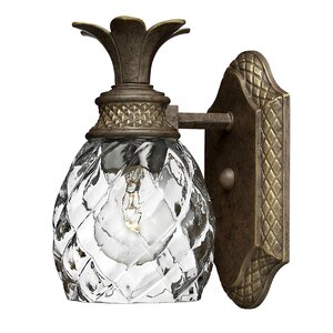Terry 1-Light Pineapple Accent Wall Sconce