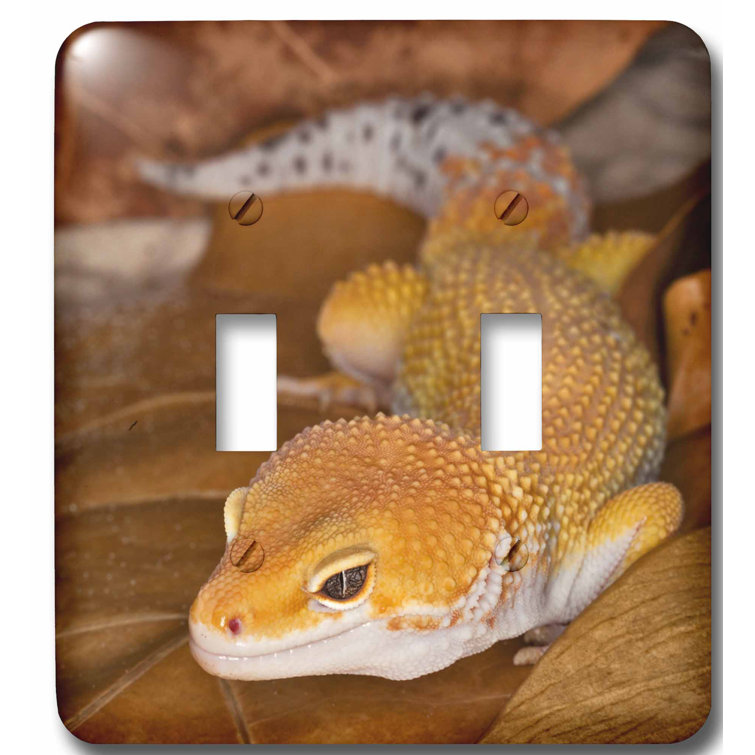 leopard gecko led lighting