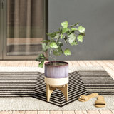 Modern Contemporary Decorative Indoor Flower Pots Allmodern