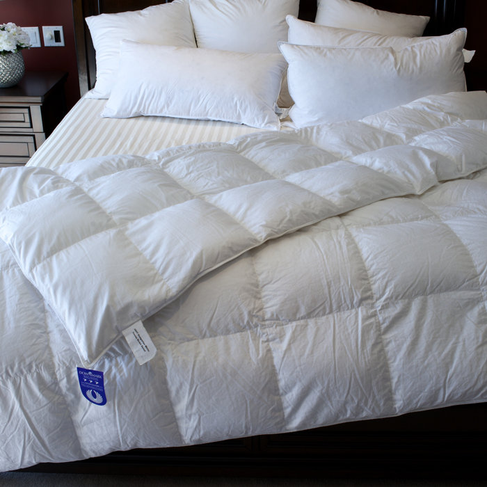 Royal Elite Canadian Duck Winter Weight Down Duvet Insert Reviews Canadian Duck Winter Weight Down Duvet Insert