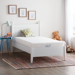 dream collection lucid mattress