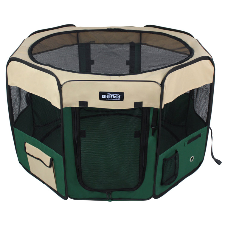 elitefield dog kennel