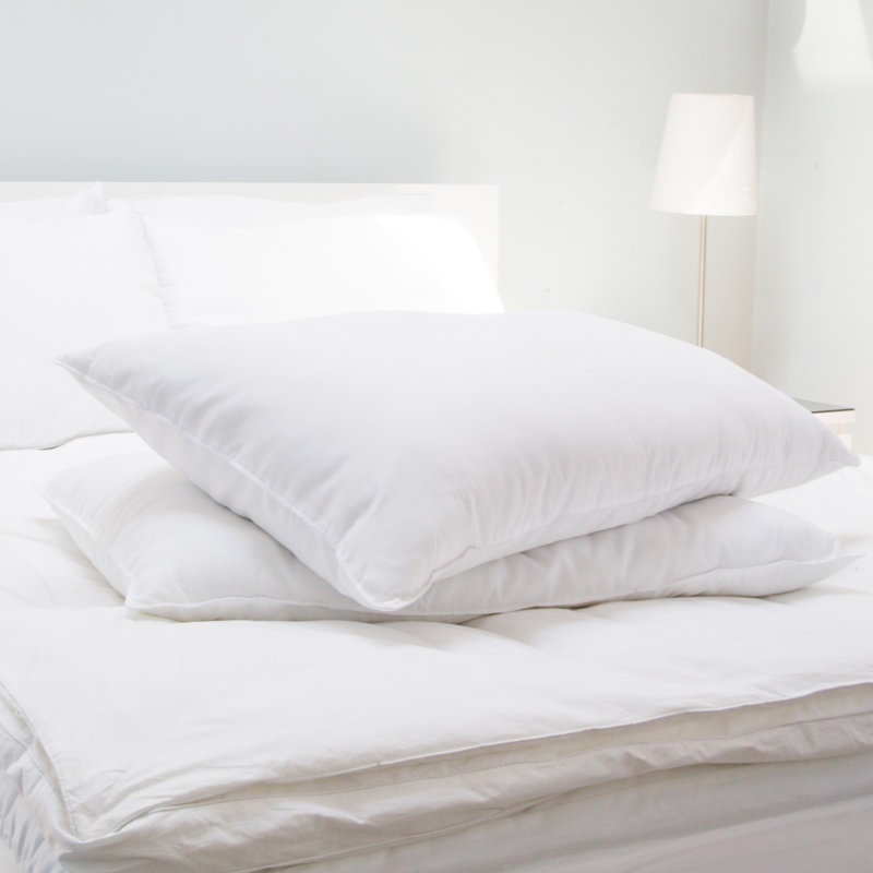 Allied Home Down Alternative Pillow Reviews Wayfair