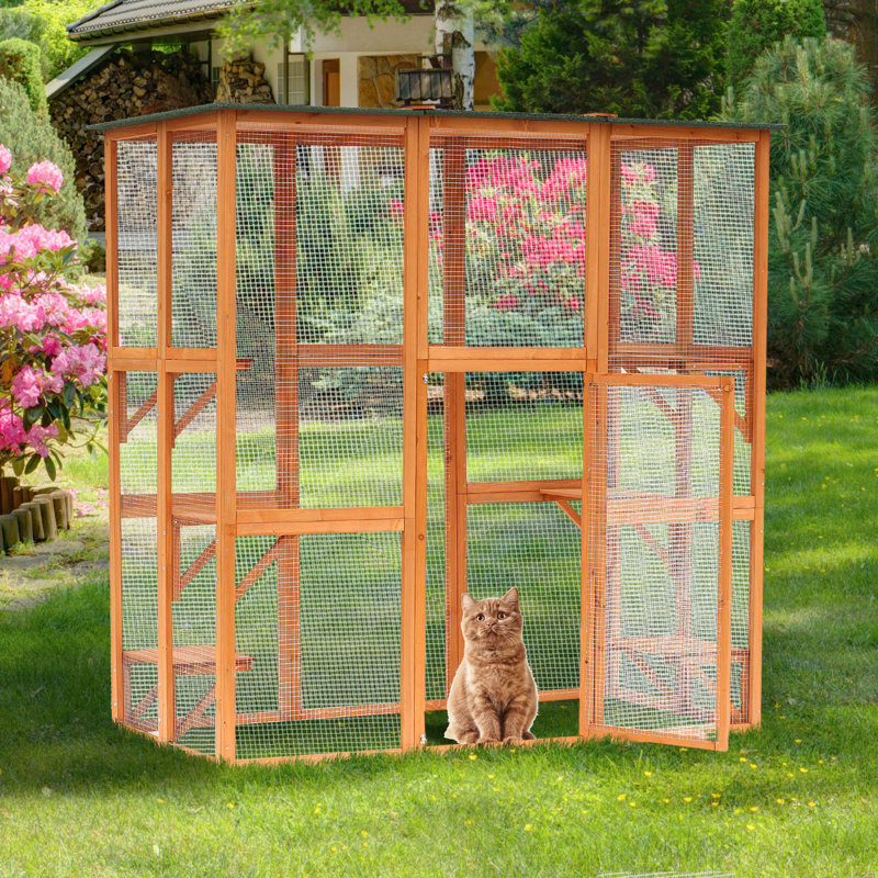 enclosure cat