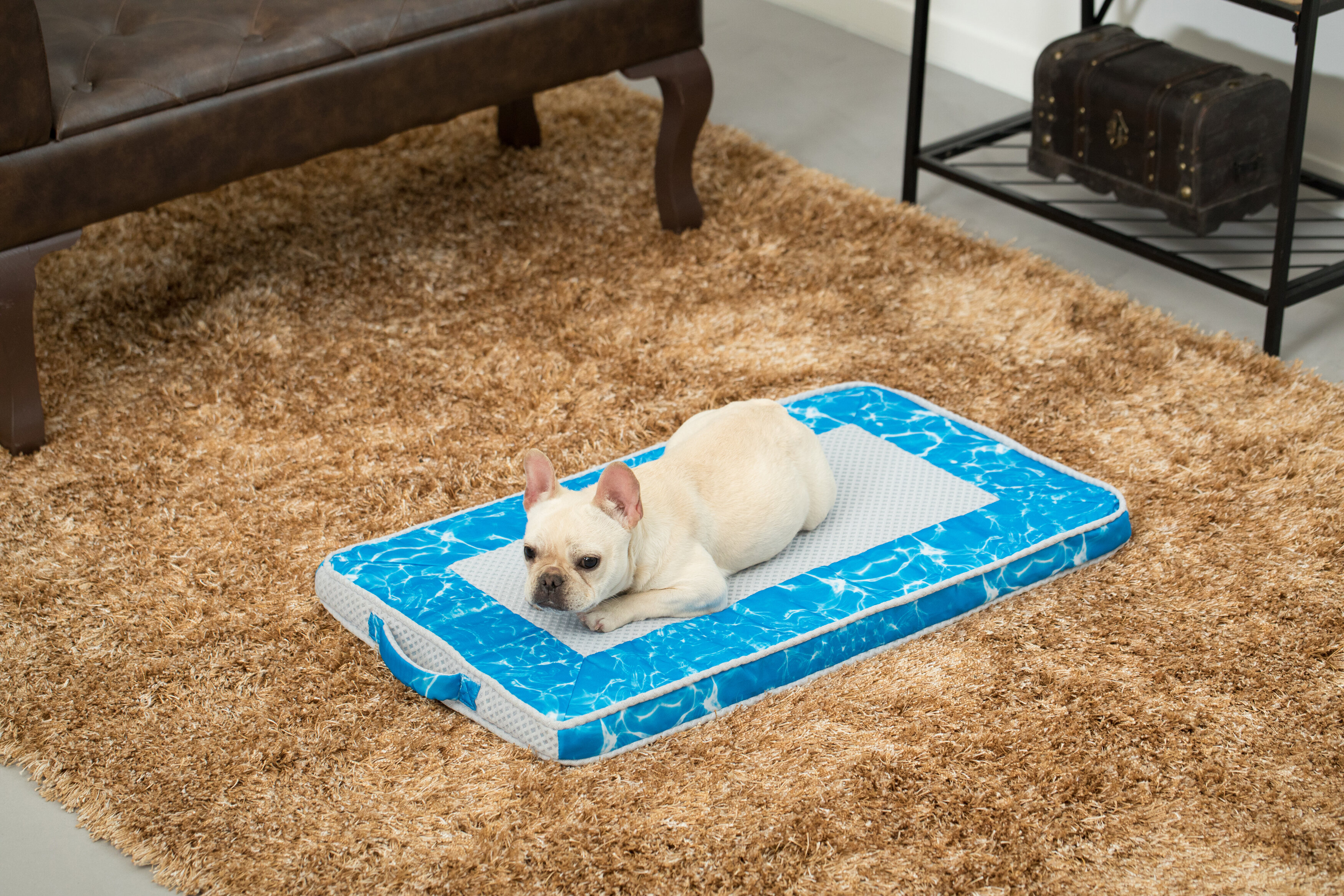 aspen pet cooling mat