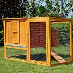 Gustave Chicken Coop with Nesting Box and Outdoor Run