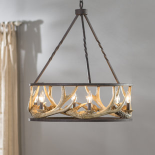 Real Antler Chandeliers Wayfair Los Angeles Antler 6 Light Drum Chandelier