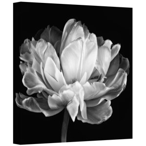 Black And White Photography Wall Art photography - wall art | wayfair Black And White Photography Wall Art photography - wall art | wayfair