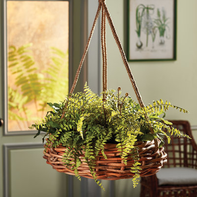 Bryttnie Rattan Hanging Planter