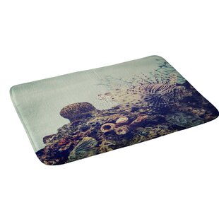 Aqua Bath Rug Wayfair