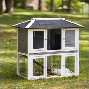 Duplex Rabbit Hutch