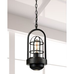 Siskel 2-Light Mini Pendant