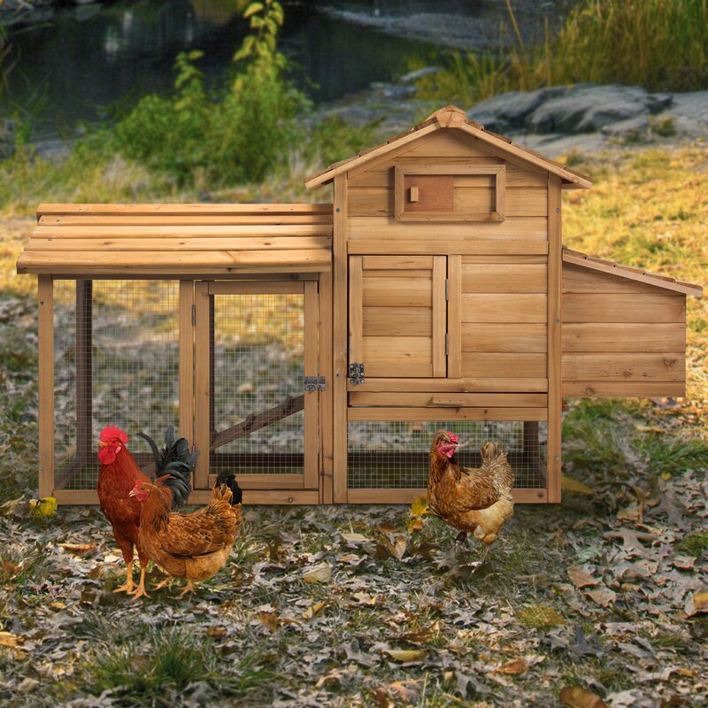 Tucker Murphy™ Pet Jemma Wooden Chicken Coop with Chicken Run - Jemma+WooDen+Chicken+Coop+with+Chicken+Run