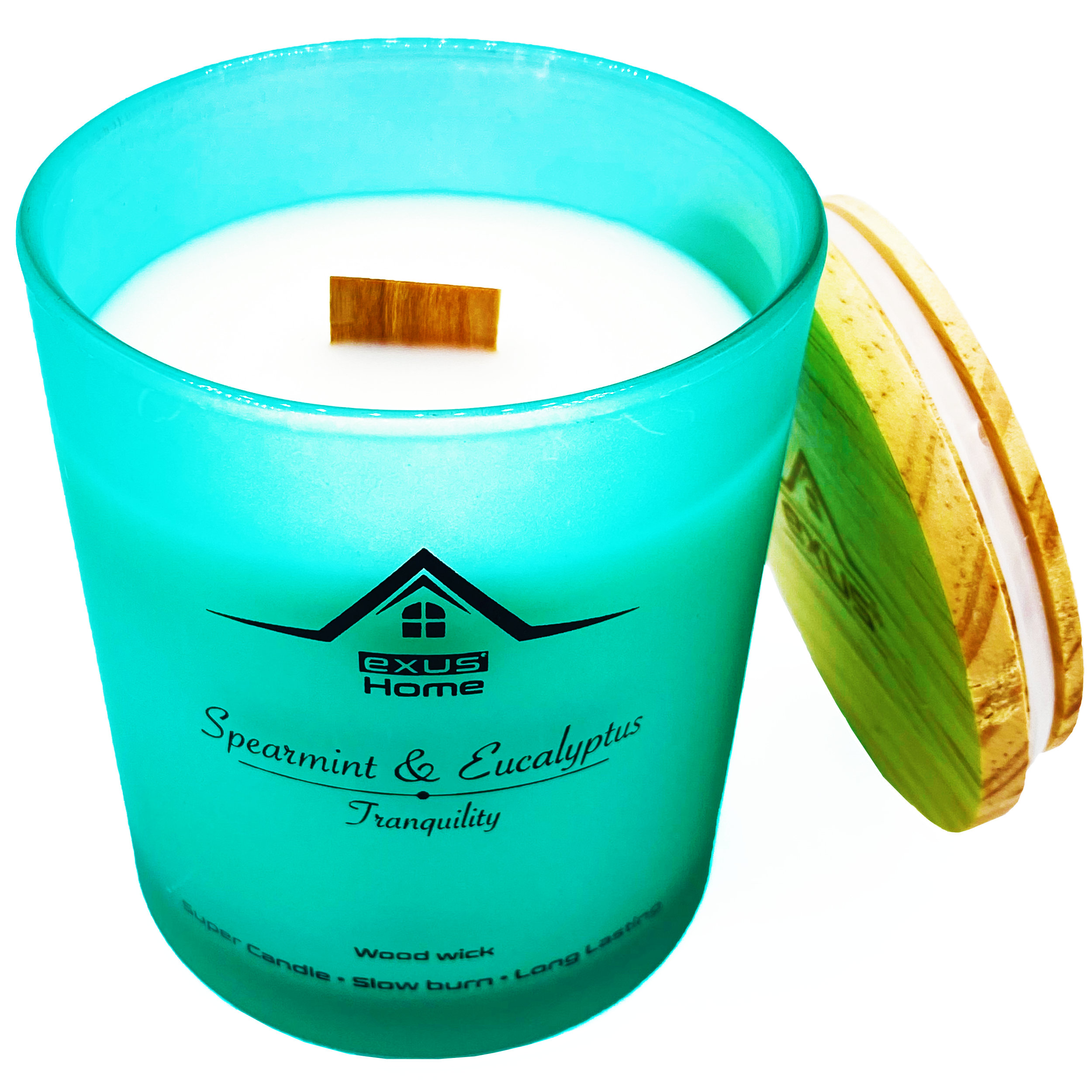 Exus & Co. Spearmint & Eucalyptus Scented Jar Candle Wayfair