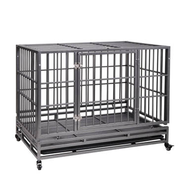 ProSelect Empire Pet Cage