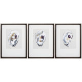 Oyster Shell Wall Art Wayfair