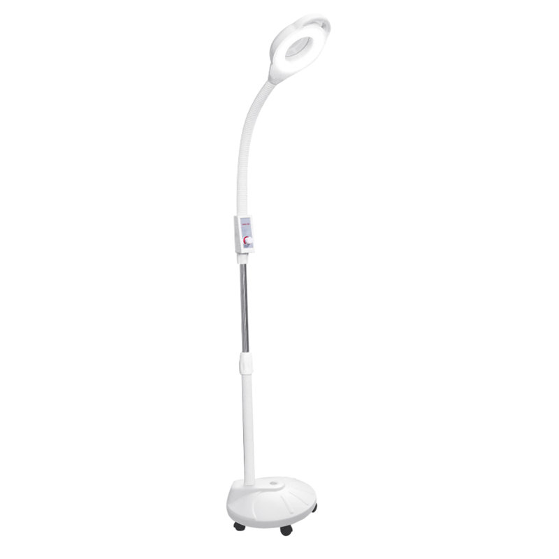 Orren Ellis Facial Magnifier Gooseneck 66 Led Arched Floor Lamp