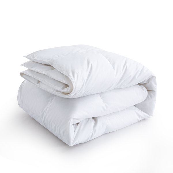 Fluffy White Comforter Wayfair