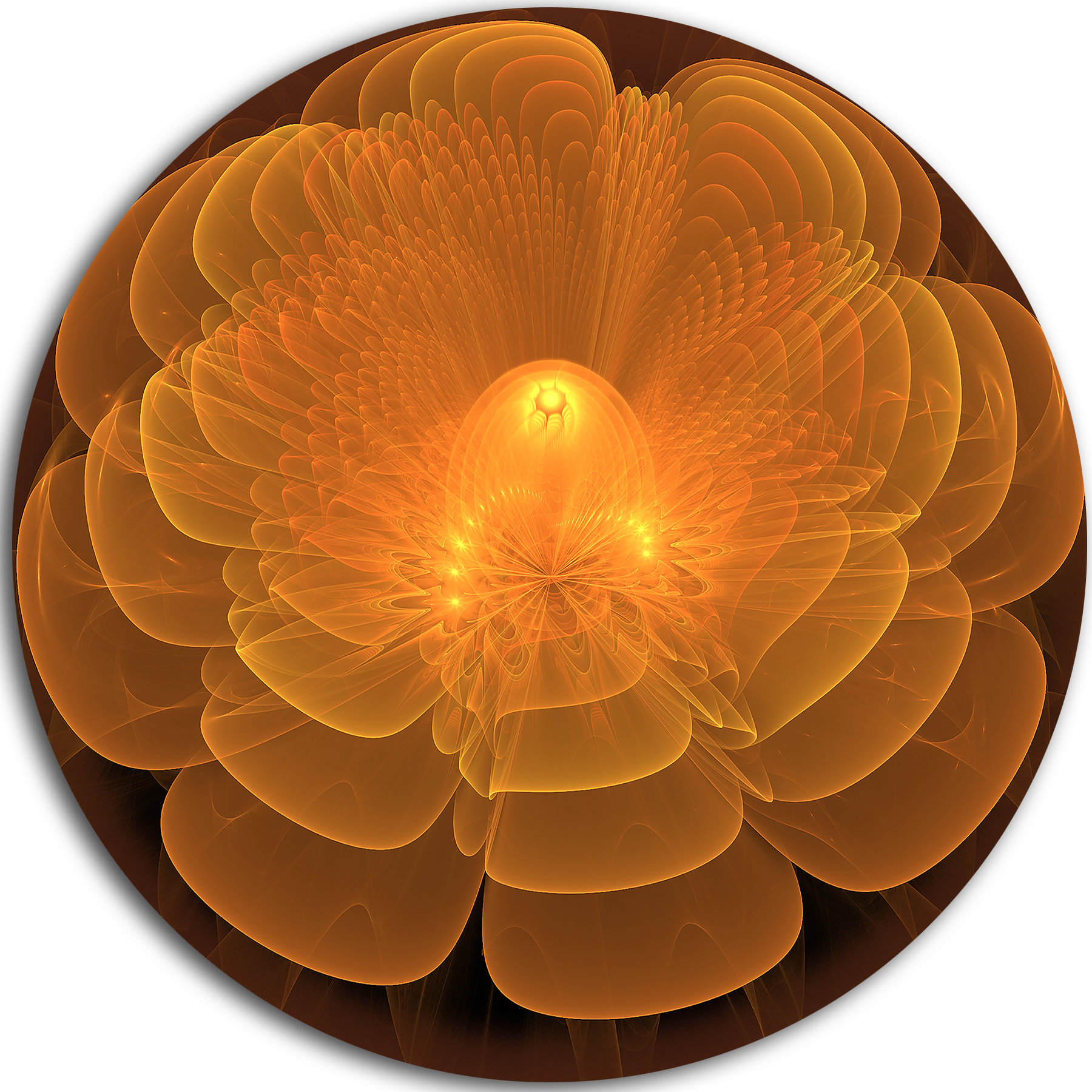 Designart Water Lily Digital Art Fractal Flower Graphic Art Print On Metal Wayfair