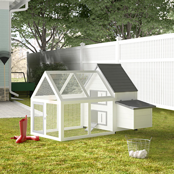 Chicken Coop Kits Wayfair Ca