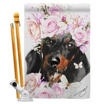 dachshund decorative items