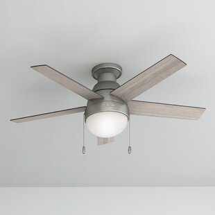 Grey Oak Ceiling Fans Wayfair