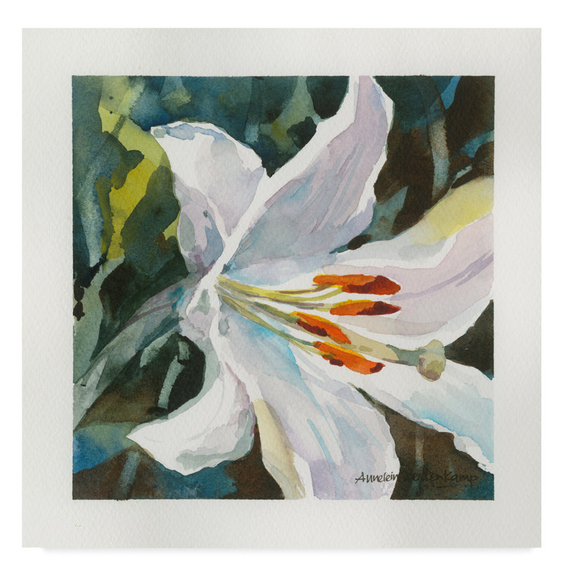 Trademark Art Pure White Flowers Watercolor Painting Print On