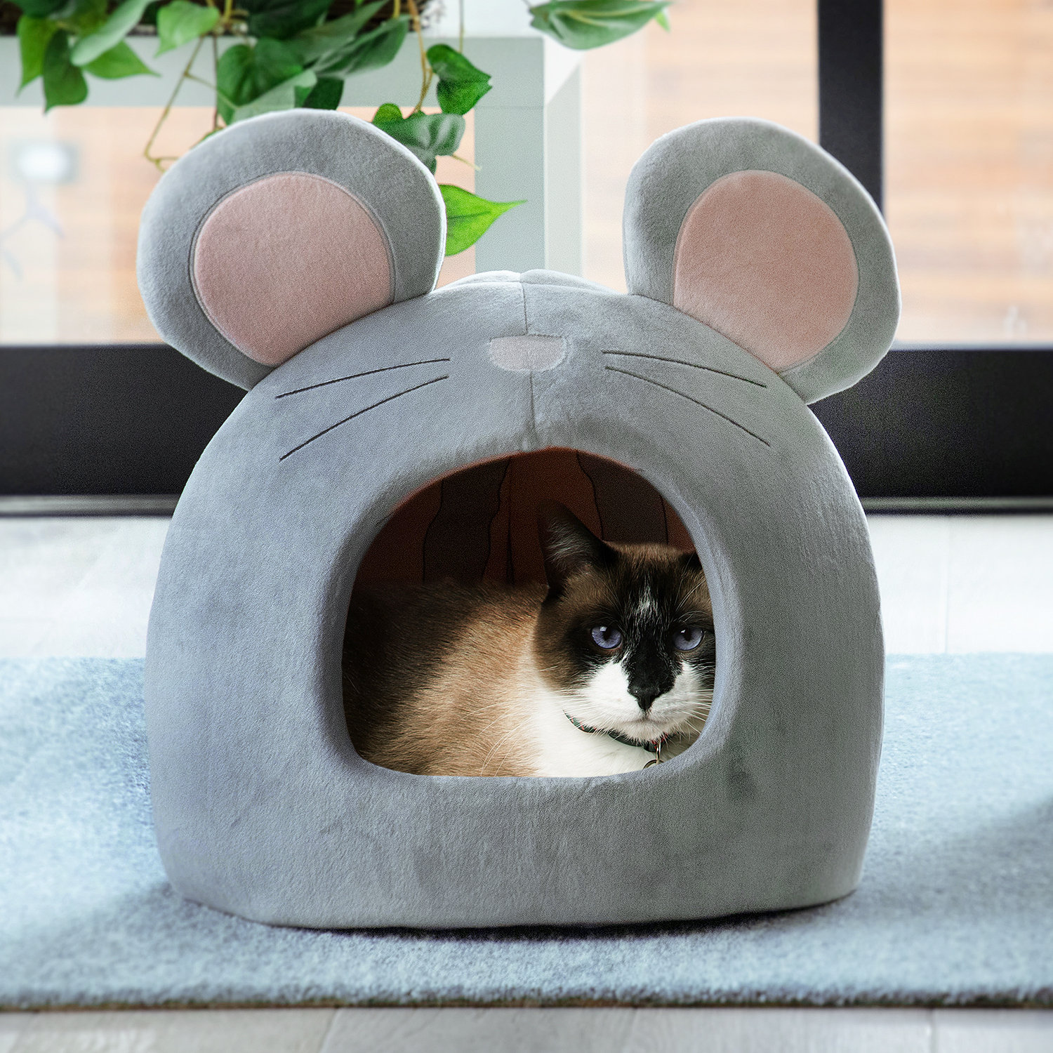 novelty cat bed