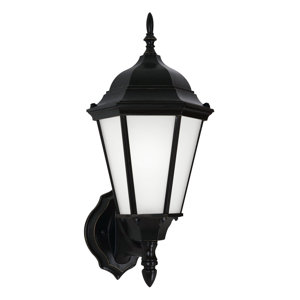 Anita 1-Light Outdoor Sconce with Glass Shade