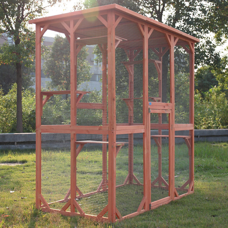 outdoor cat box enclosure