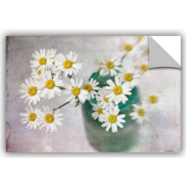 Artwall Judy Stalus Daisy Still Life Removable Wall Decal Wayfair