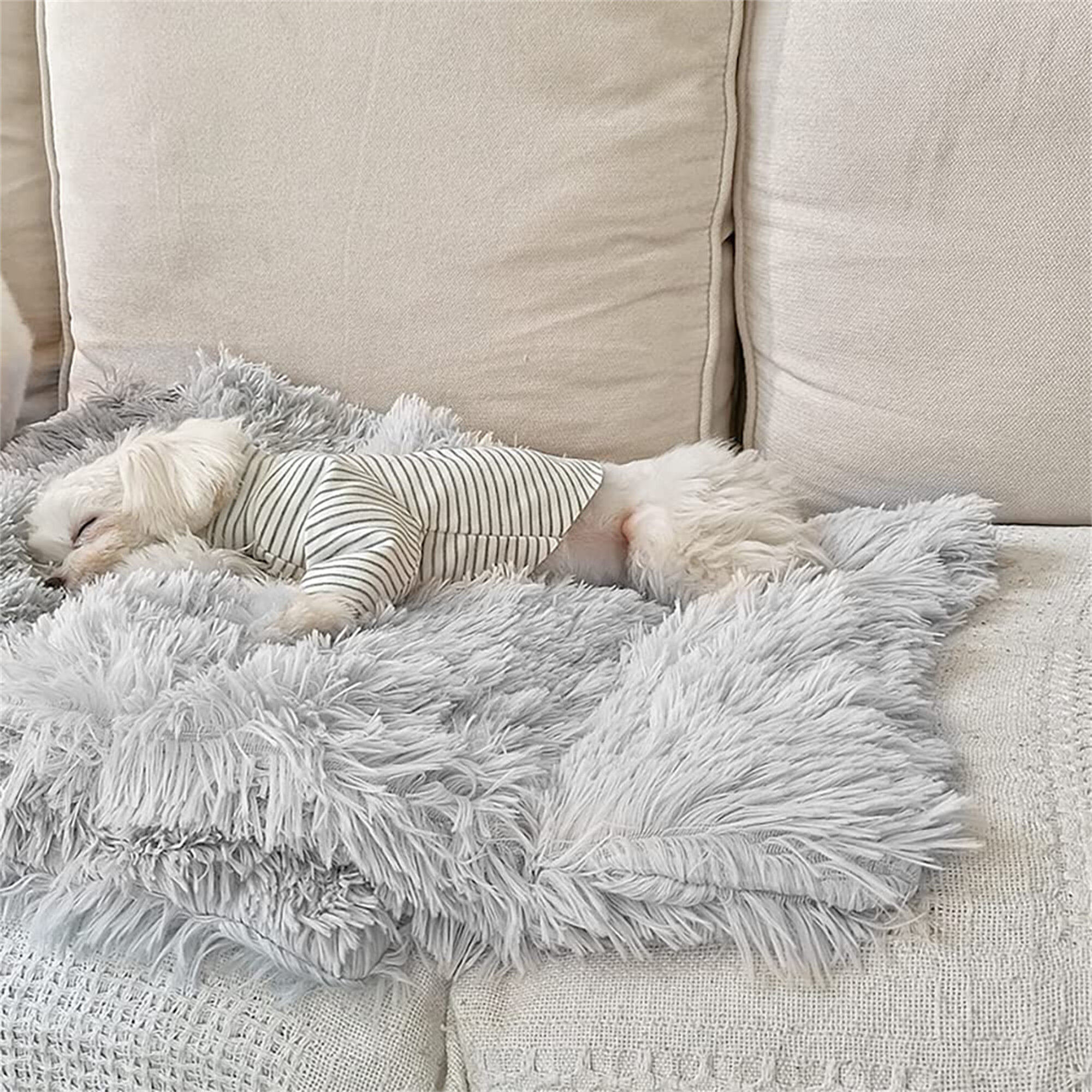 Cozy Fleece Dog Blanket Small Fuzzy Soft Washable Puppy Blankets Chew Proof Sherpa Couch Pet Cat Throw Anxiety Weighted Bed Pad Cover Gray