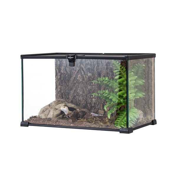 REPTIZOO 10 Gallon Terrarium | Wayfair