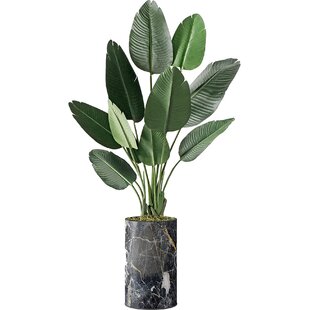 Wayfair Extra Tall Faux Plants You Ll Love In 22