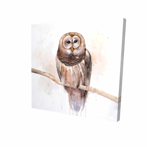 Millwood Pines Owl On A Branch Oil Painting Print On Wrapped