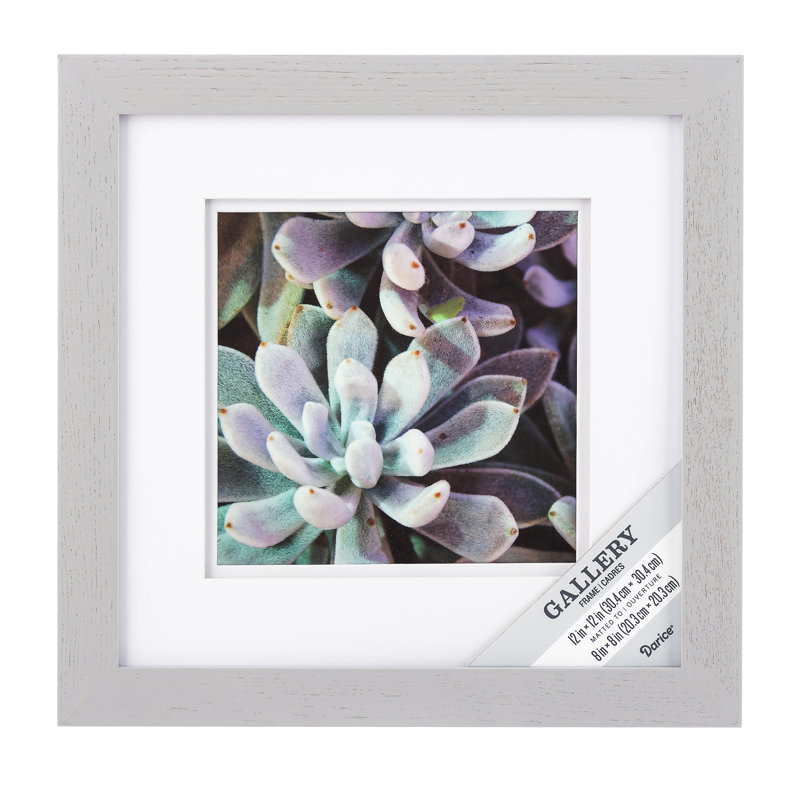 MCS Gallery Gold Colored Aluminum 11 by 14-Inch Frame with 8 by 10-Inch Mat Opening