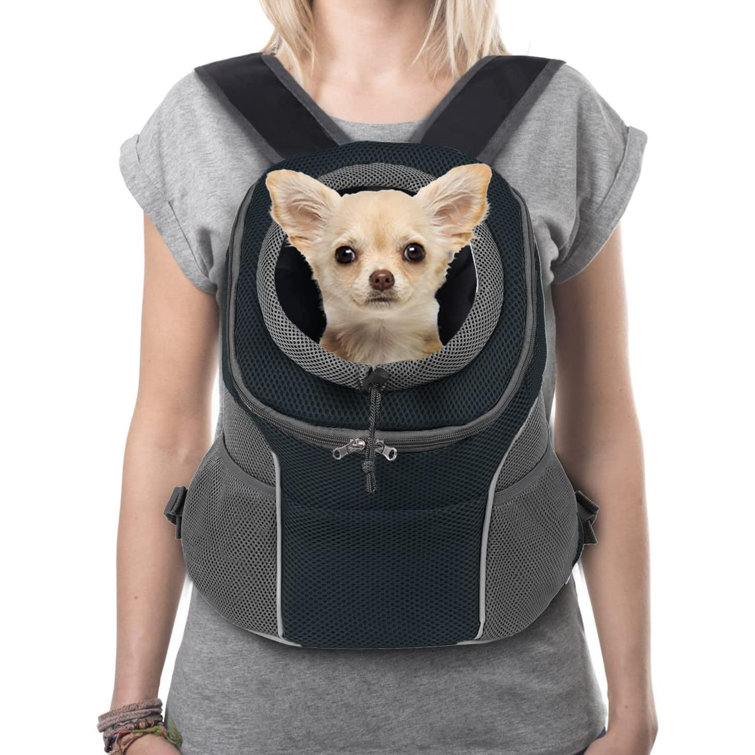 dog front pack