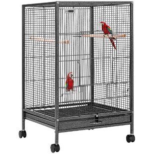 Colors May Vary 2 Pack Hagen Living World Life-Size Singing Parakeet 