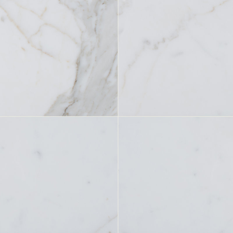 Msi Calacatta 12 X 24 Marble Look Wall Floor Tile Wayfair