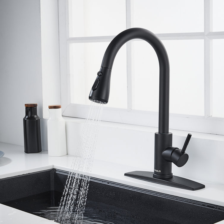 Pull Down Single Handle Kitchen Faucet with Accessories
