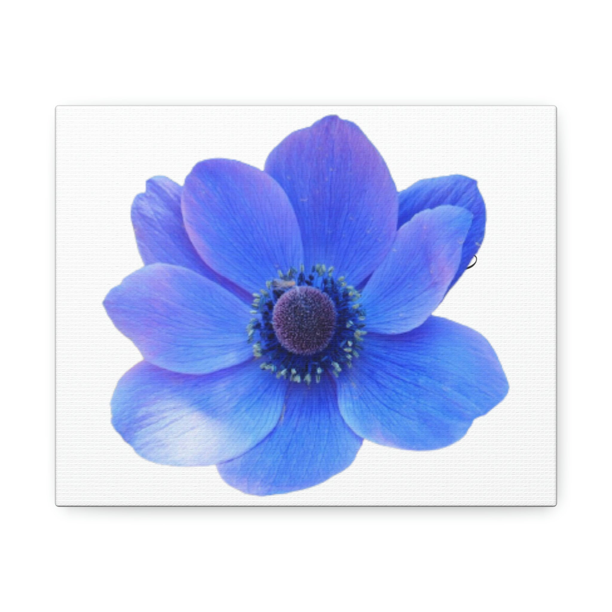 Bless international Blue Flower Wall Decor | Wayfair